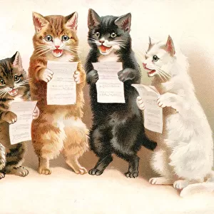 Four cats singing on a greetings postcard