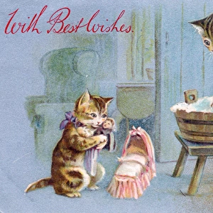 Two cats on a washday greetings card