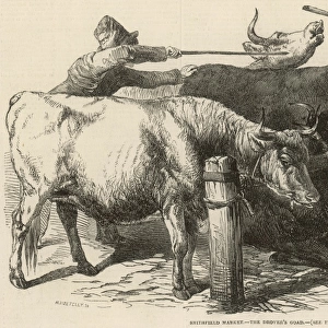 Cattle at Smithfield Market, London, 1849