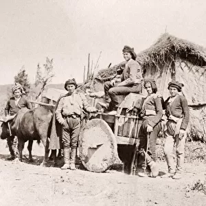 Caucasus Georgia - group of Georgian men with bullock cart