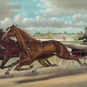 Print of Edward and Swiveller, a trotting team Print of Edward and Swiveller, a trotting team
