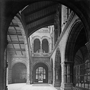 Central Hall, the Natural History Museum. 1882