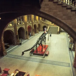 The Central Hall of the Natural History Museum, London