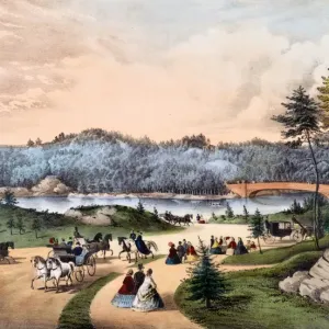 Central Park, the Lake, New York Central Park, the Lake, New York