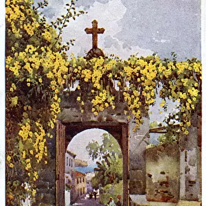 Chapel doorway and street scene, Madeira
