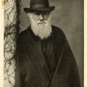 Charles Darwin / Column