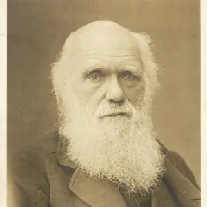 Charles Darwin / Photo