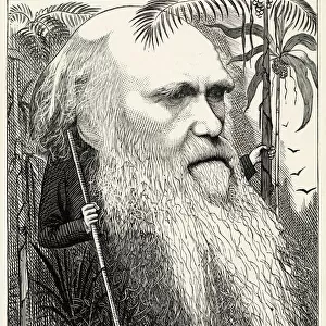 Charles Darwin as a wild man of the jungle