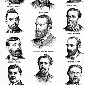 Charles Stewart Parnell, Issac Butt and the Irish Party