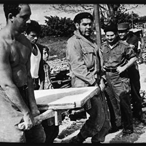 Che Guevara / Sunday