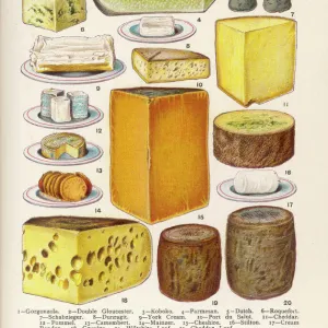 Cheese Selection / Beeton