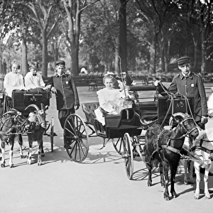 Children in Central Park, riding goat carriages in the park
