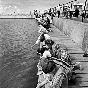 Children crabbing from a wooden pontoon at New Brighton
