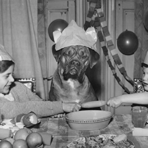 Two children and dog enjoying a Christmas tea party
