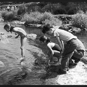 Children Fish in Stream