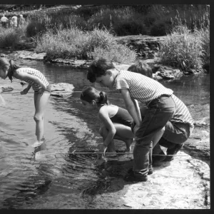 Children Fish in Stream