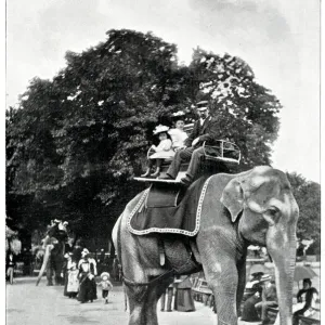 Children riding elephants at Zoological Gardens 1896