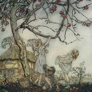 Children shaking apples off a tree