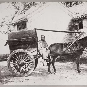 Chinese horse and cart with driver, China