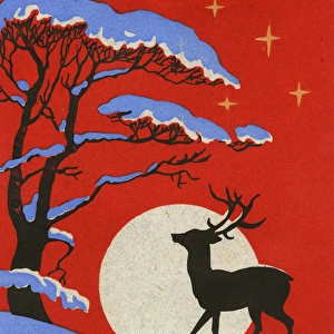 Christmas card, Deer in snow