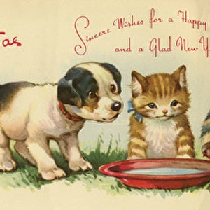 Christmas card, dog, kittens and robins