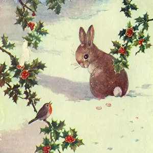 Christmas card, Rabbit and robin