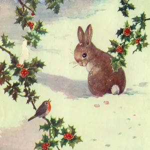 Christmas card, Rabbit and robin