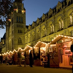The Christmas Fair at the Natural History Museum, London