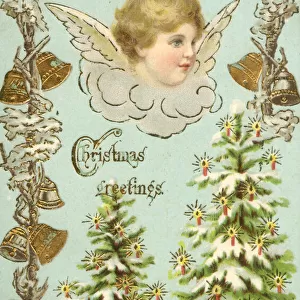 Christmas Greetings Postcard