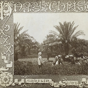 Christmas Postcard from the Suez Canal