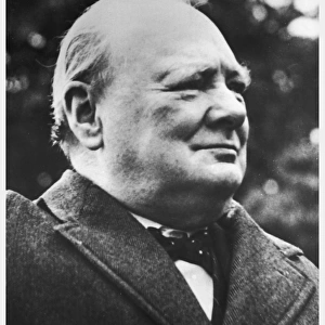 Churchill / Profile