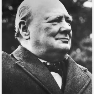 Churchill / Profile