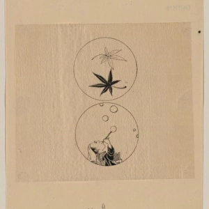 Circular designs, maple leaves in a bubble and a person blow