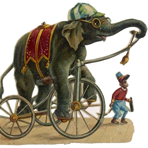 Circus Elephant & Monkey