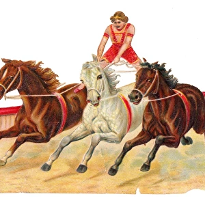 Circus performer on three horses on a Victorian scrap