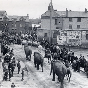 Circus procession, New Bridge, Haverfordwest, South Wales