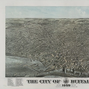 The city of Buffalo, N. Y. 1880