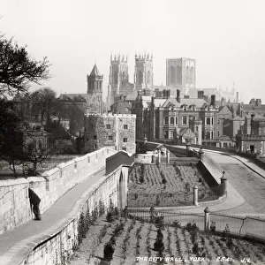 The city wall, York, Minster in the background