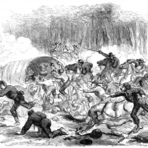 The Civil War in America. The stampede from Bull Run
