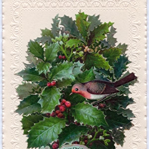 Clump of holly on a Christmas and New Year card