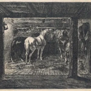 Coal / French Pit Ponies