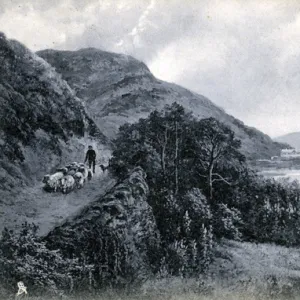 Coastal Path, Aberdovey, Gwynedd