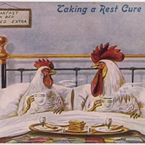 Cock, Hen in Bed