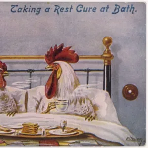 Cock, Hen in Bed