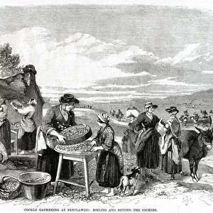 Cockle gathering at Penclawdd 1857