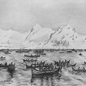 Cod fishing off the Lofoten Islands, Norway 1896