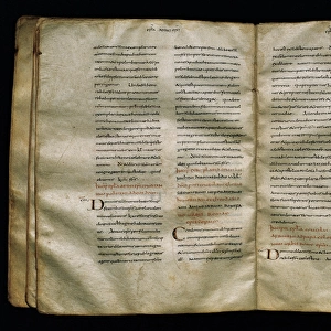 Codex Adrianus. Volume on parchement. 9th century. Caroline