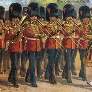 Coldstream Guards Band