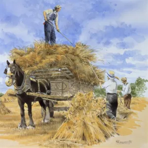 Collecting hay bales