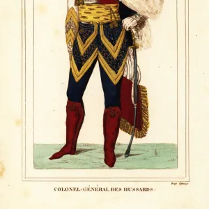 Colonel-General in the French Hussars, Napoleonic era